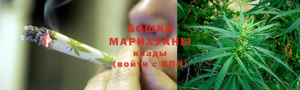 дмт Новозыбков