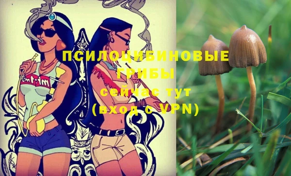 эйфоретик Нязепетровск