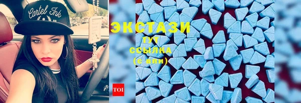 дмт Новозыбков