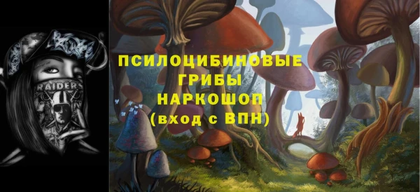 дмт Няндома