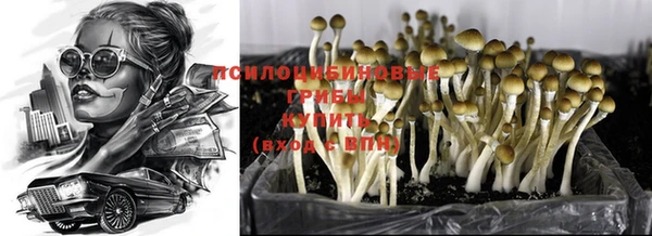дурь Нягань