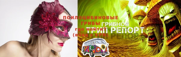 дурь Нягань