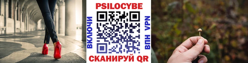 это официальный сайт  где купить наркоту  Новомичуринск  Псилоцибиновые грибы прущие грибы 