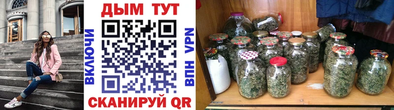 наркотики  Новомичуринск  Каннабис гибрид 